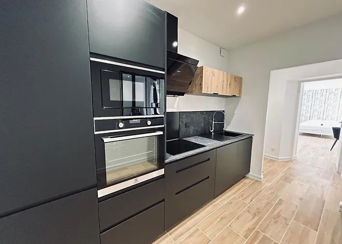 2 Lenoir T2 Spacieux Avec Jacuzzi Au Centre-ville Reims