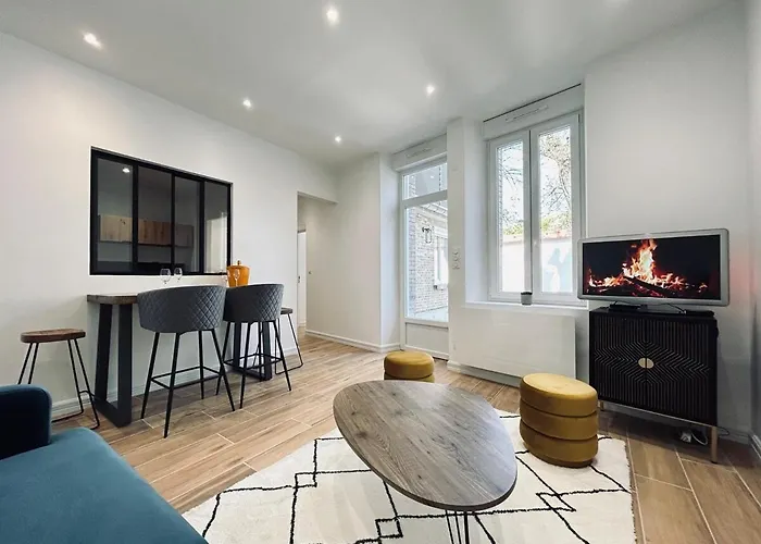 Apartment 2 Lenoir T2 Spacieux Avec Jacuzzi Au Centre-ville *