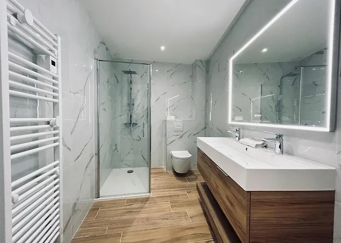 2 Lenoir T2 Spacieux Avec Jacuzzi Au Centre-ville * Reims